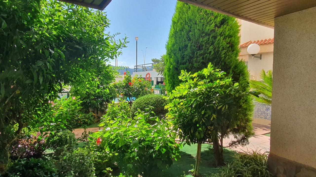 Jardines Gandia- Solo Familias Appartement Playa de Gandia Buitenkant foto